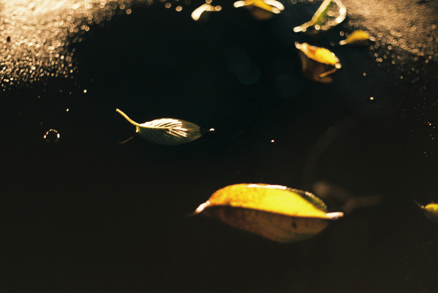 Existence Within Midnight’s Silence #17