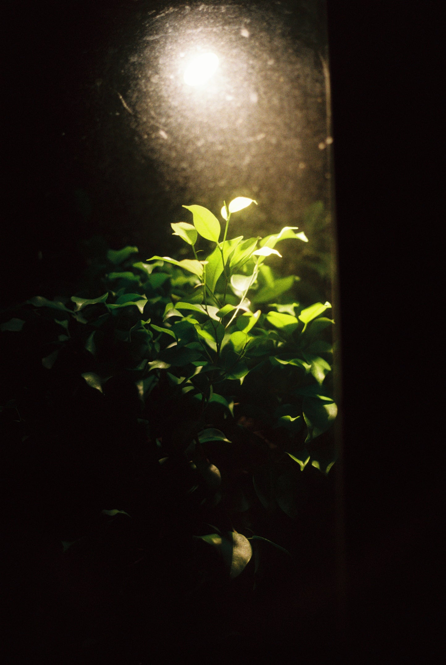 Existence Within Midnight’s Silence #09